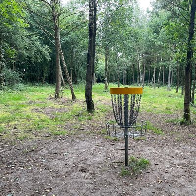 Basket 5 looking back at the tee