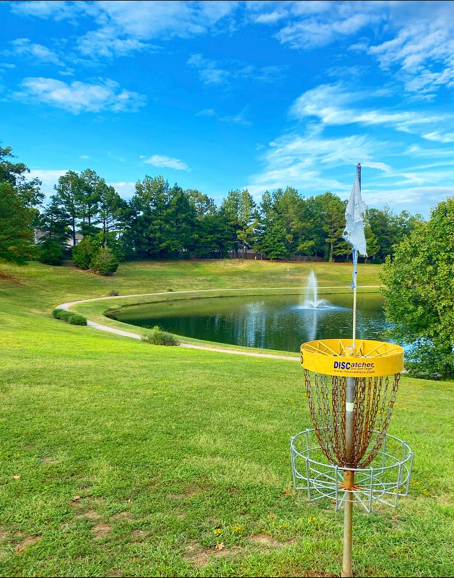 Hole 16 basket looking back at the elevated tee.