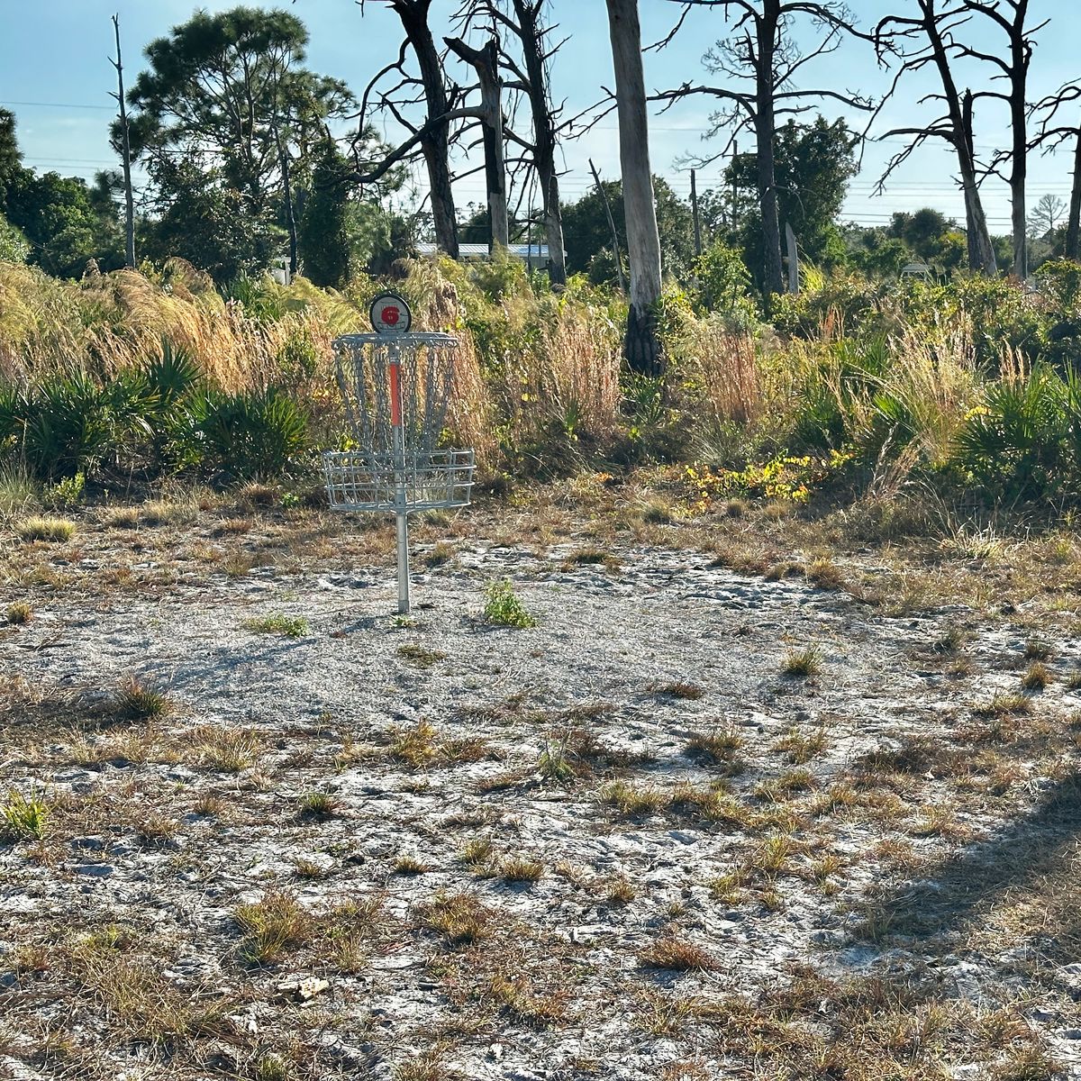 Current basket location 10/2025