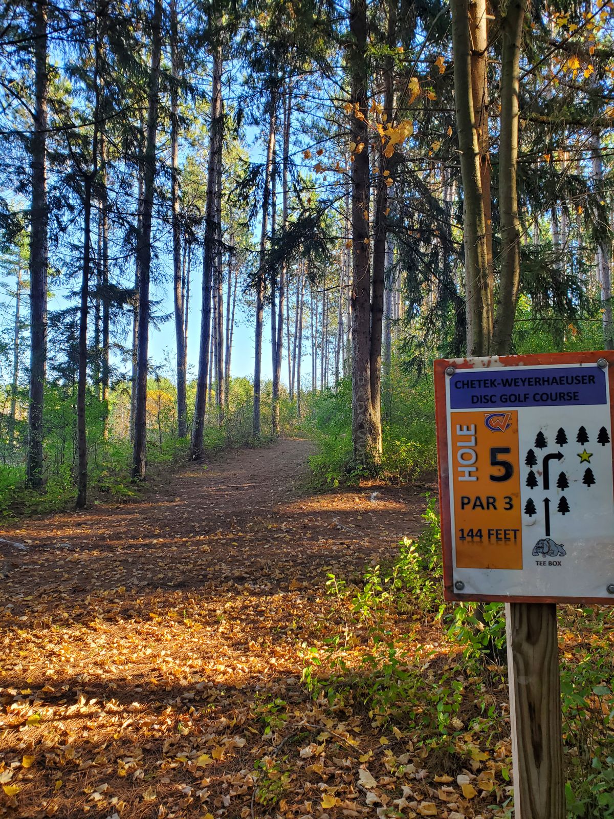 Hole 5