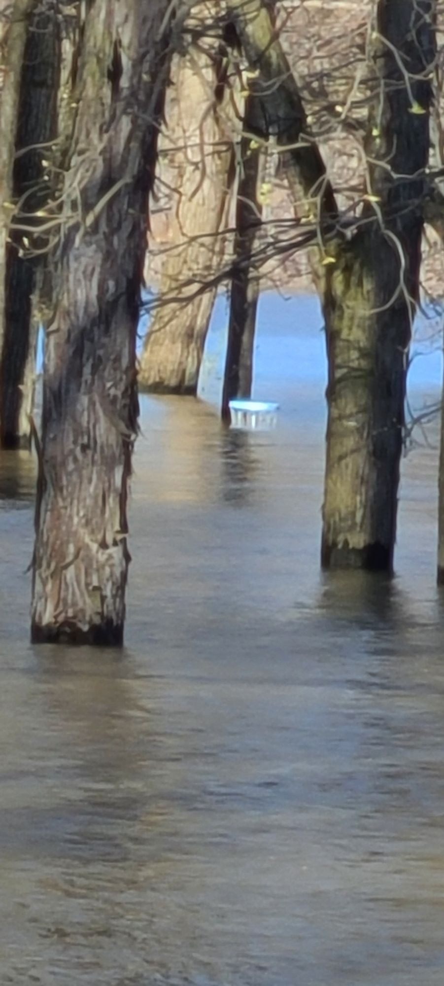 Dam flooded after big storm.
