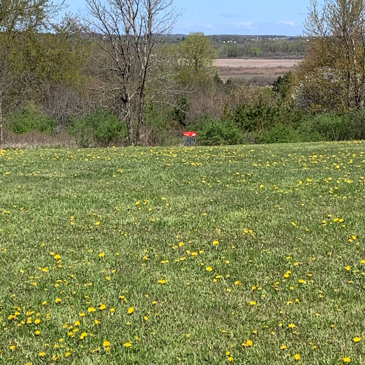 Hole #2