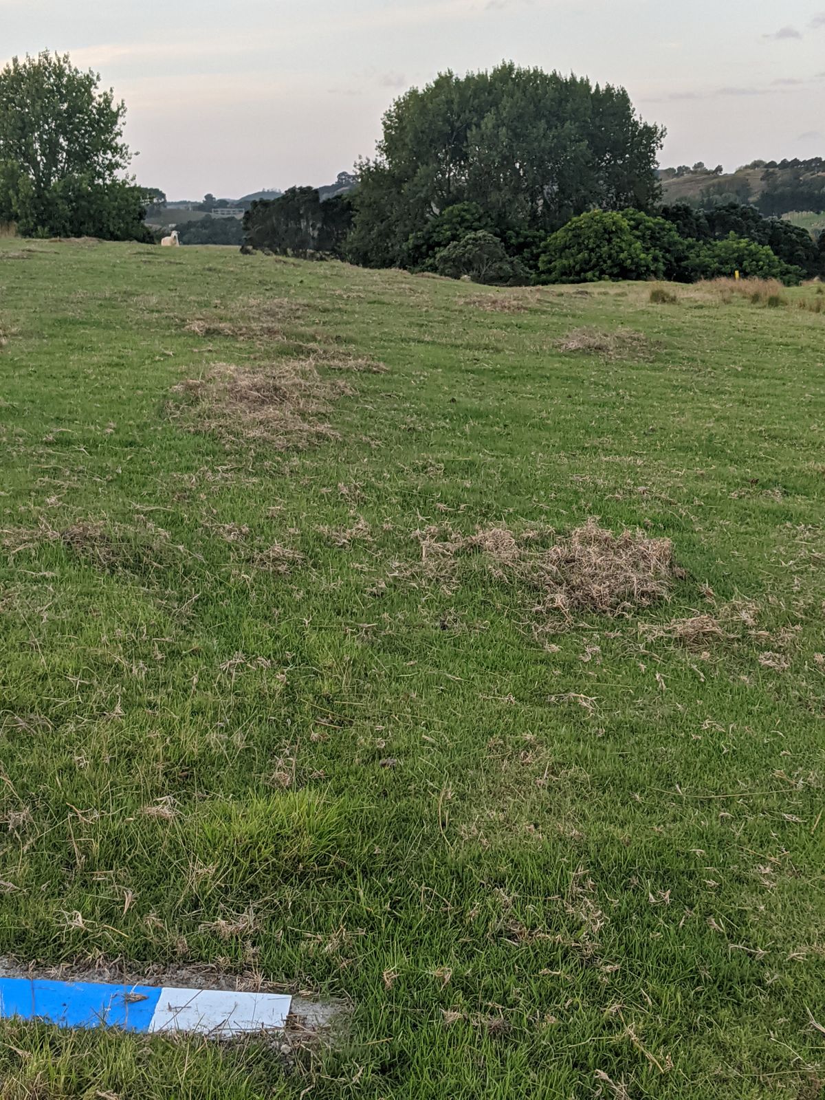 Hole 4