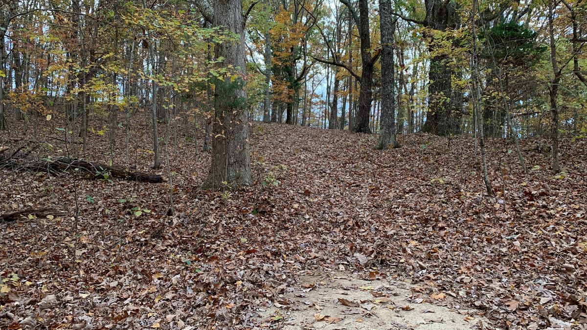 Hole 16