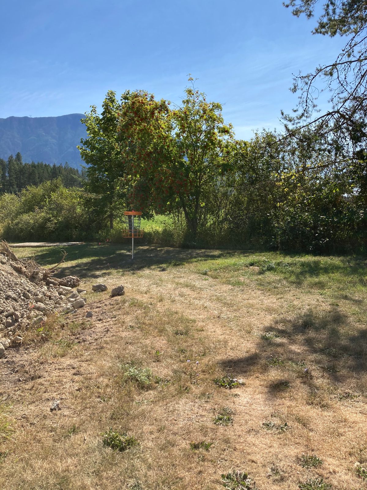 Hole 5 basket