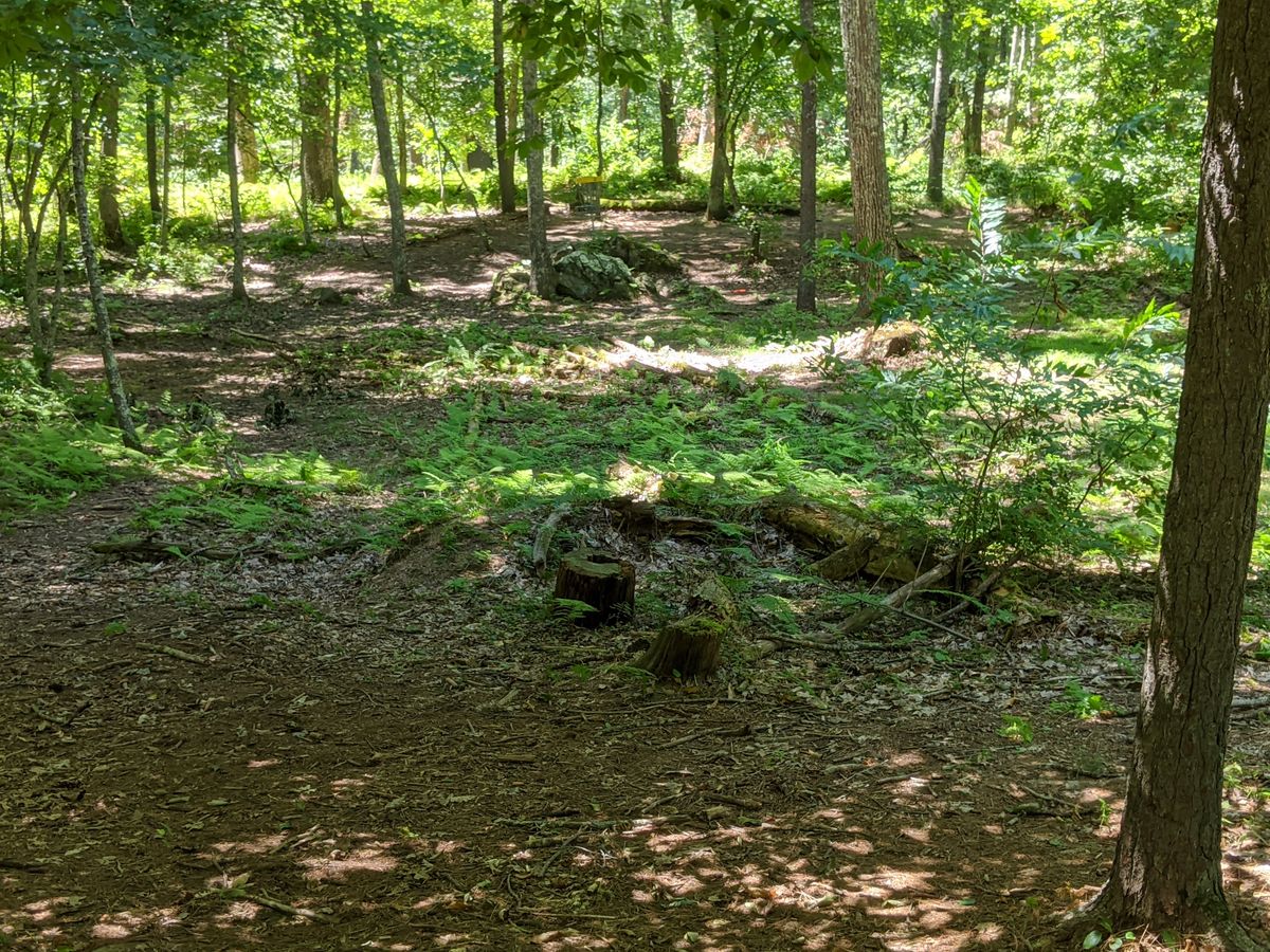 Hole 3