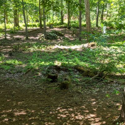 Hole 3