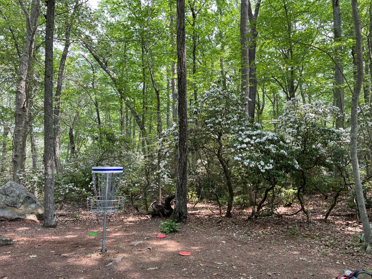 Hole4