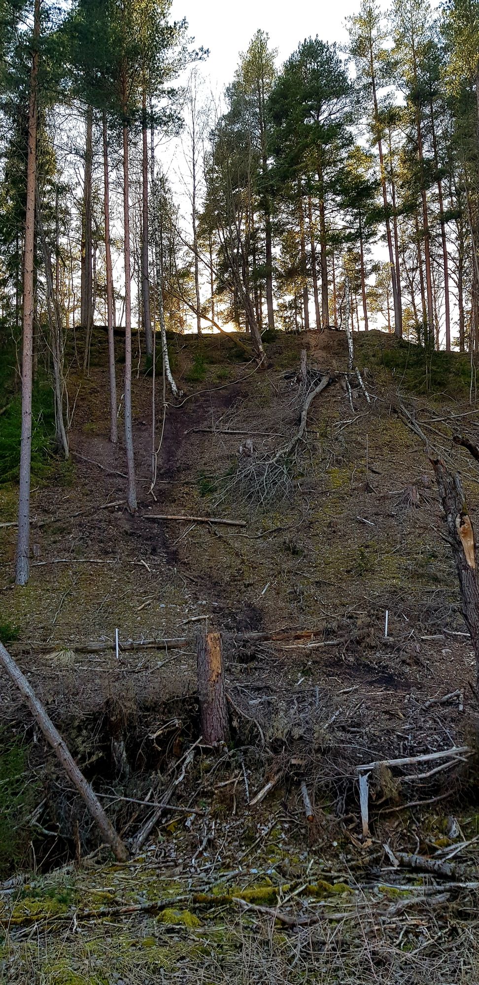 Tee ligger längst upp