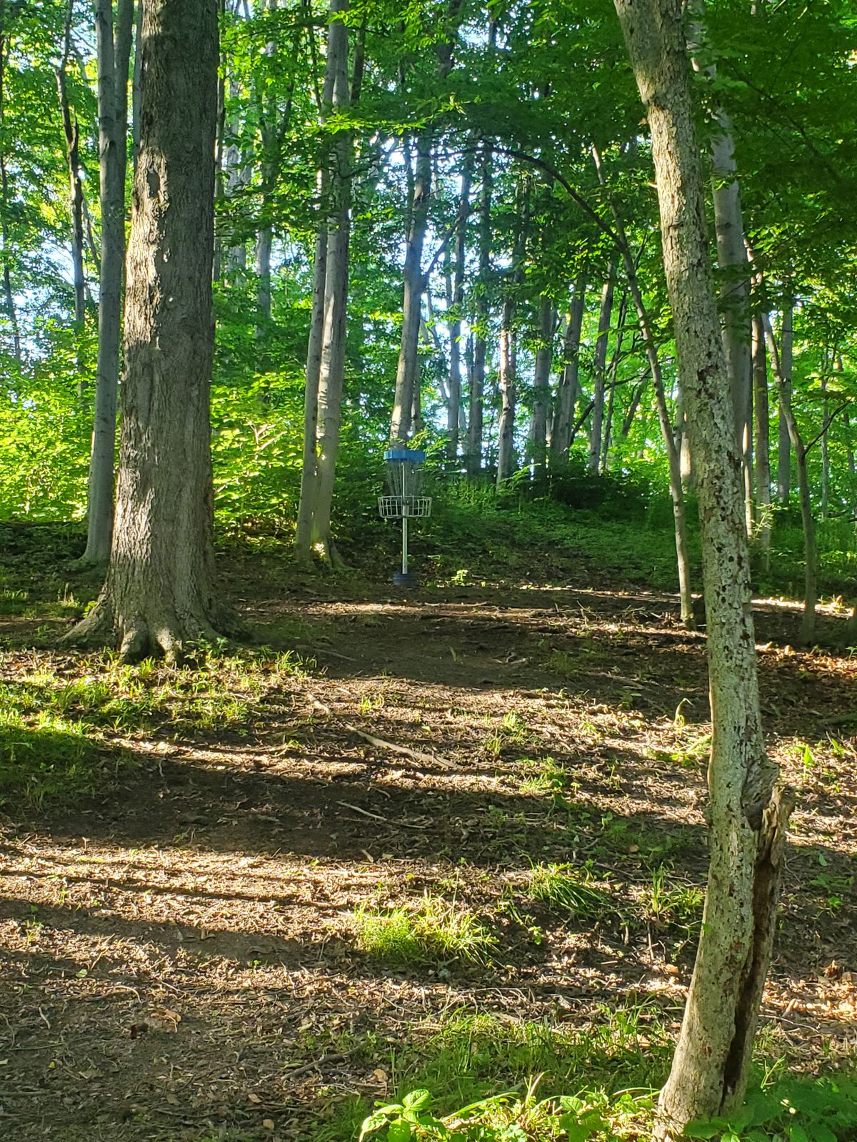 Hole 1C basket