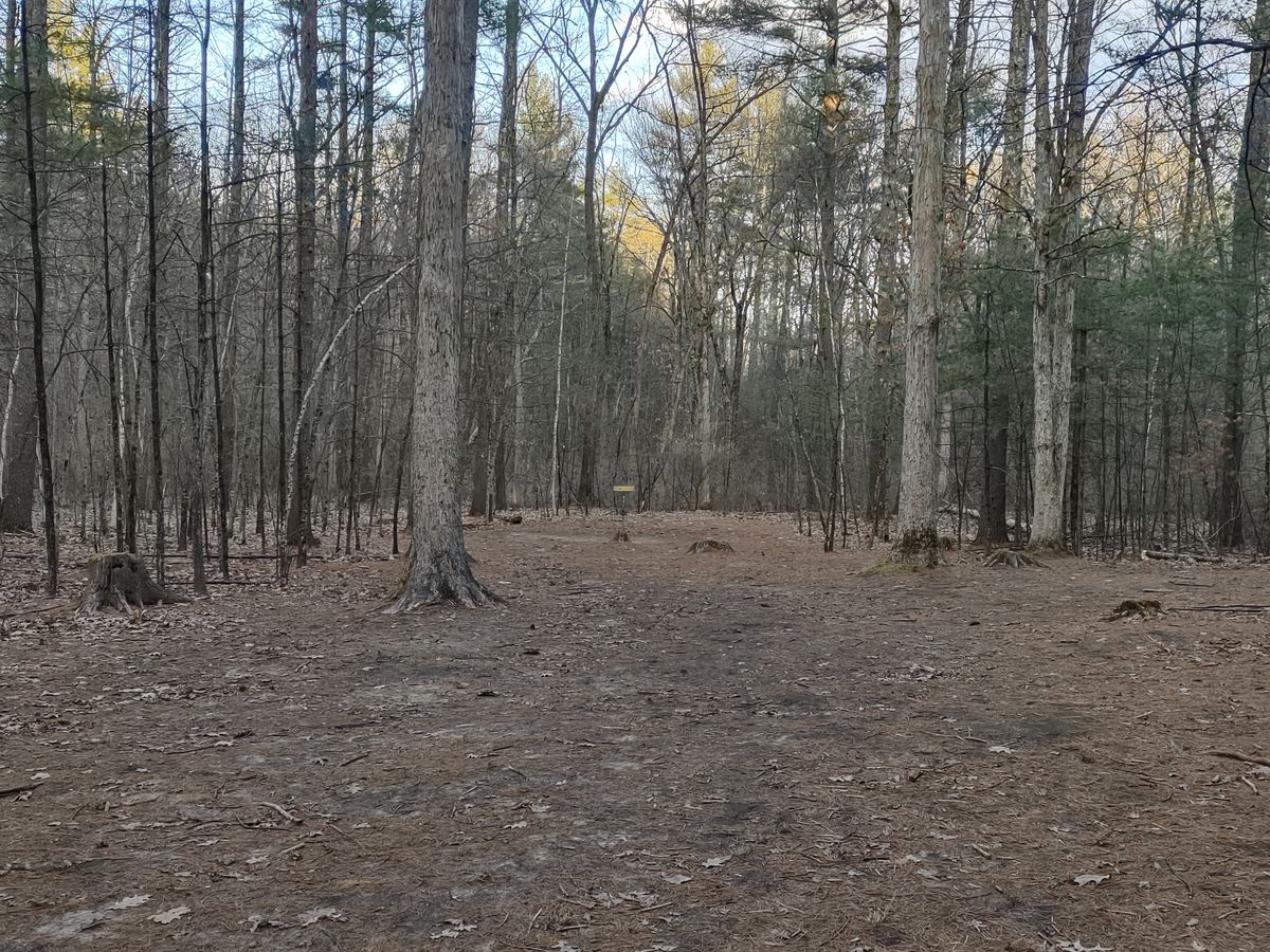 Hole 16 midway down fairway