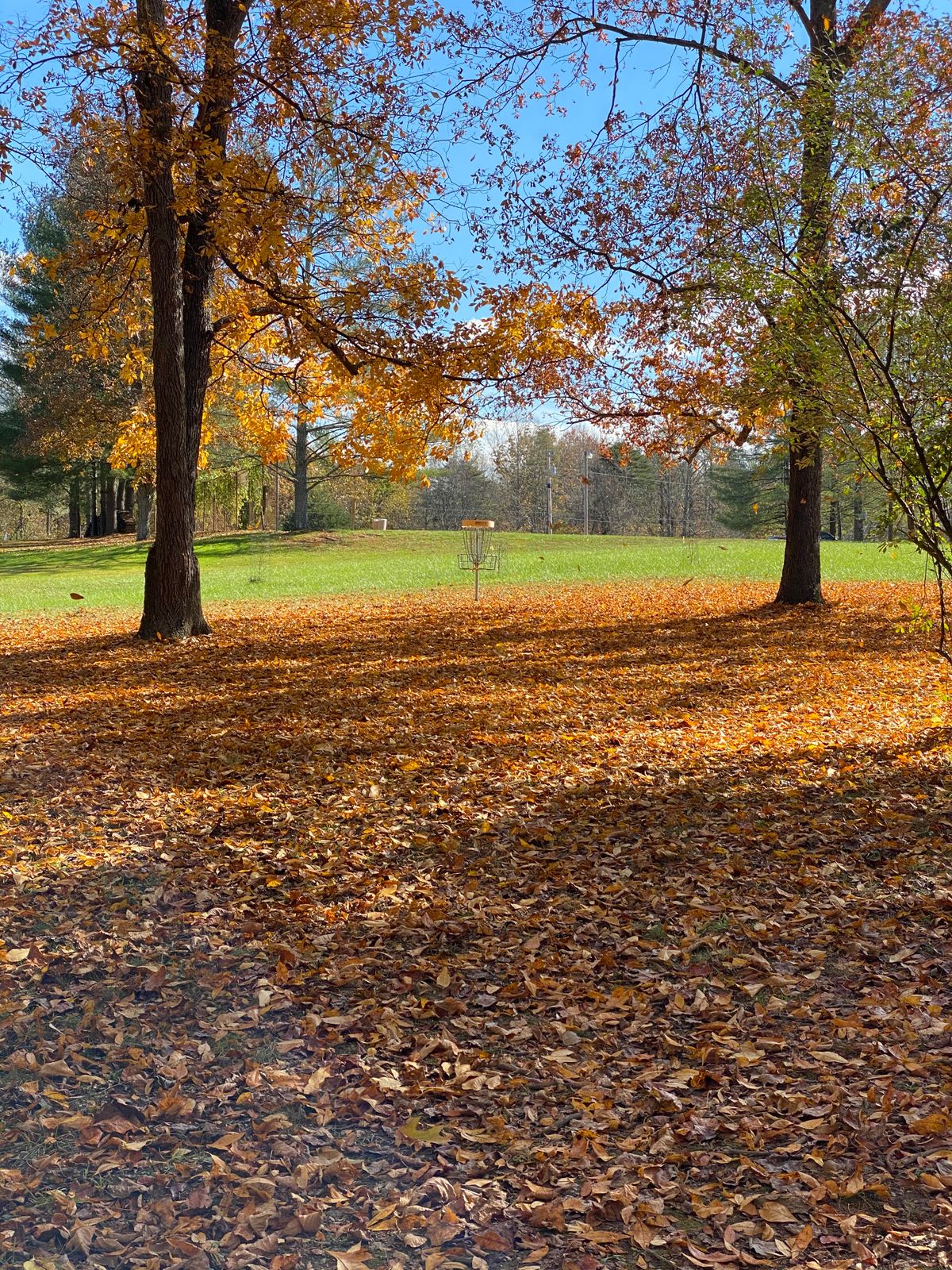 Hole 3