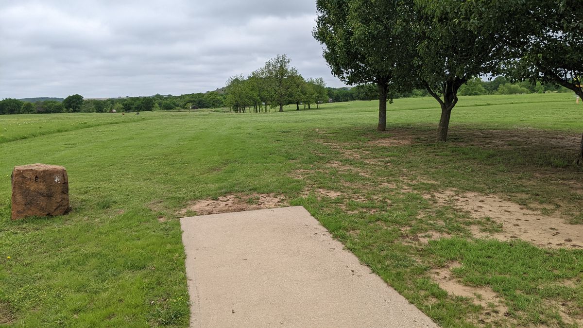 Tee #1