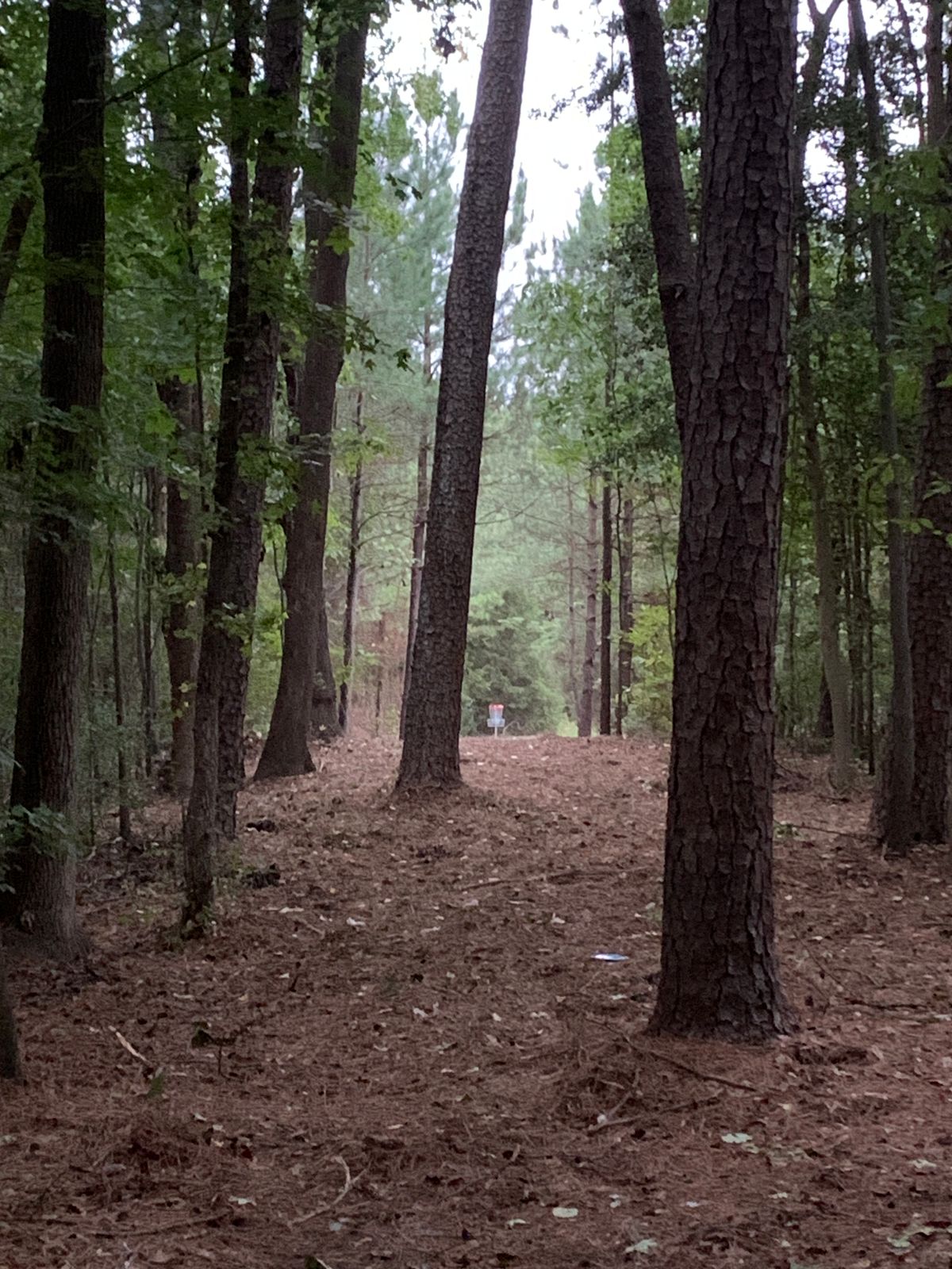 Hole 5 gap