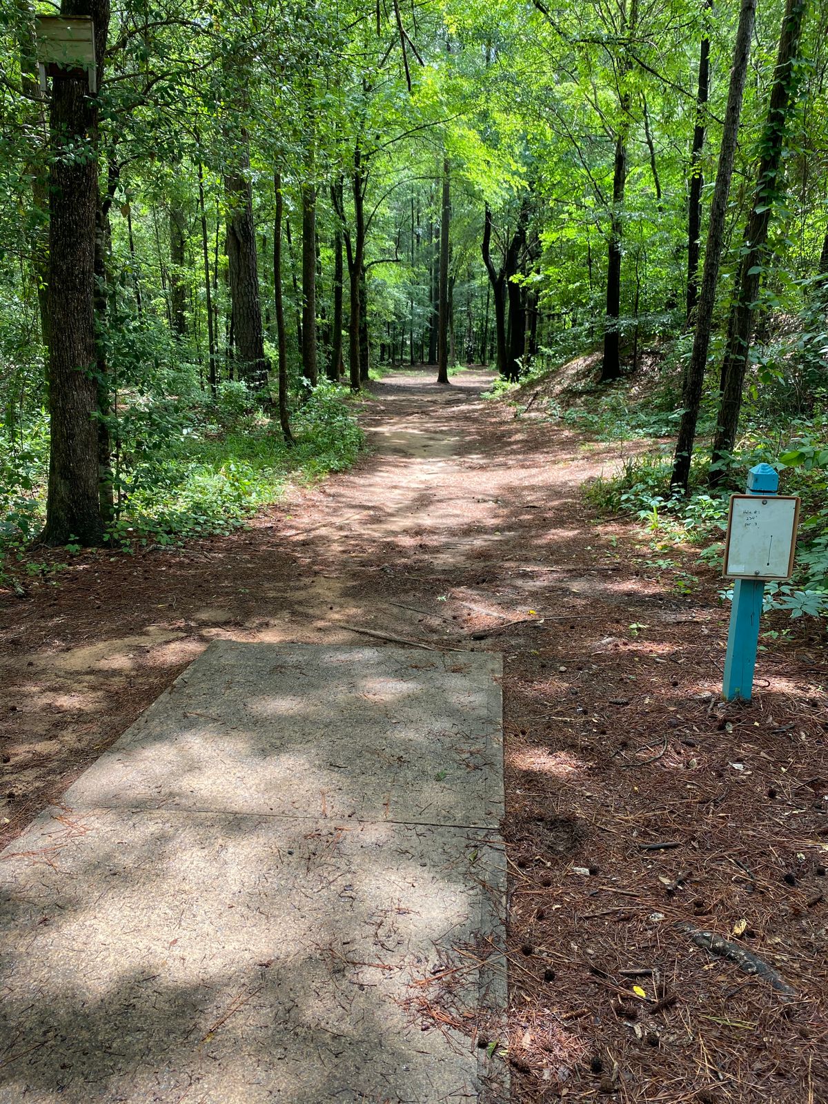 Hole 1 Summer