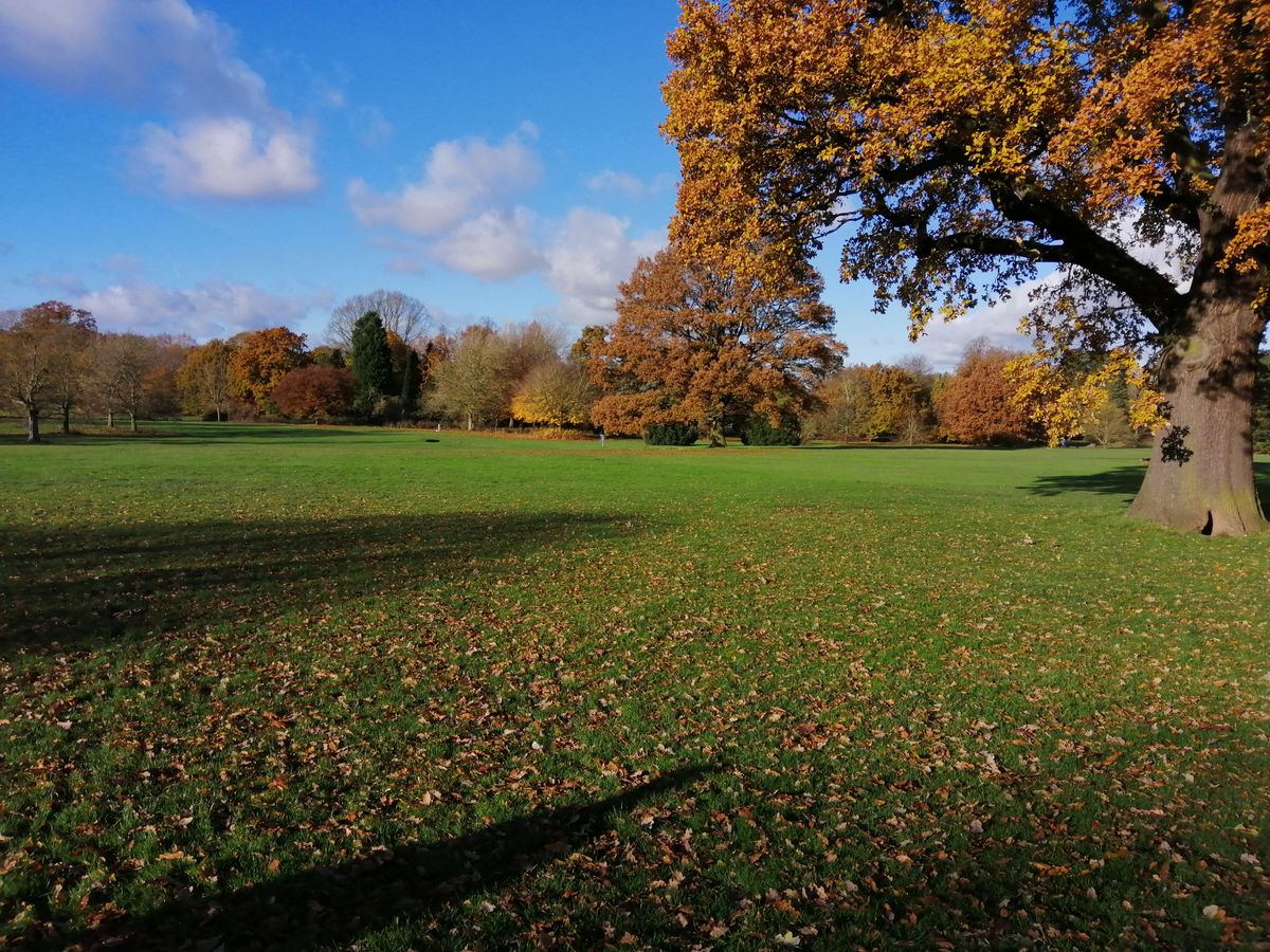 View from the tee, hole 1