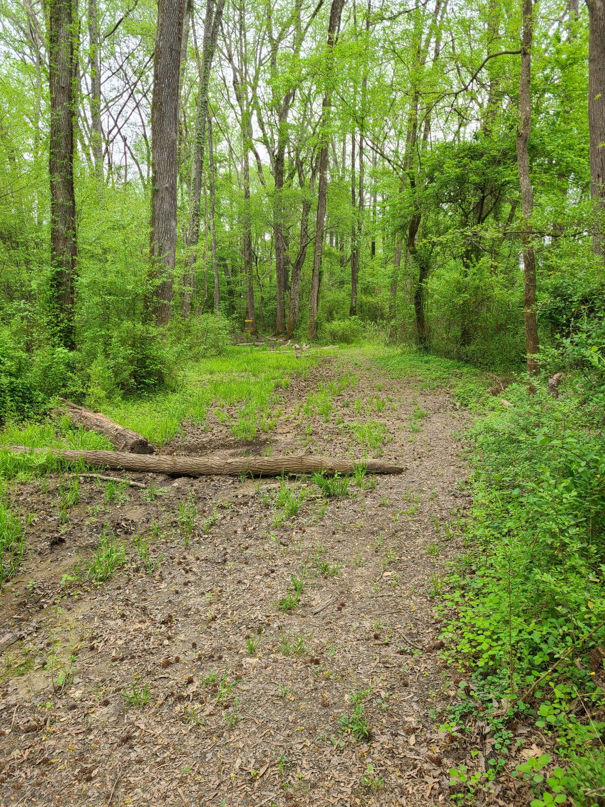 Hole 17