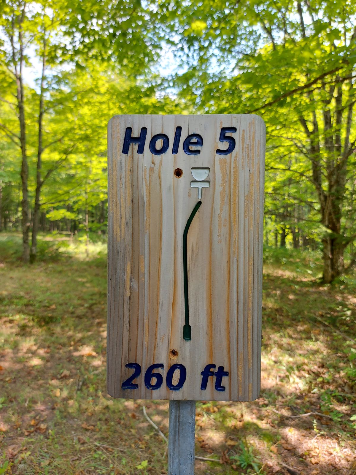 Hole sign #5.🌿☘🍀🌳