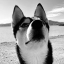 User avatar image