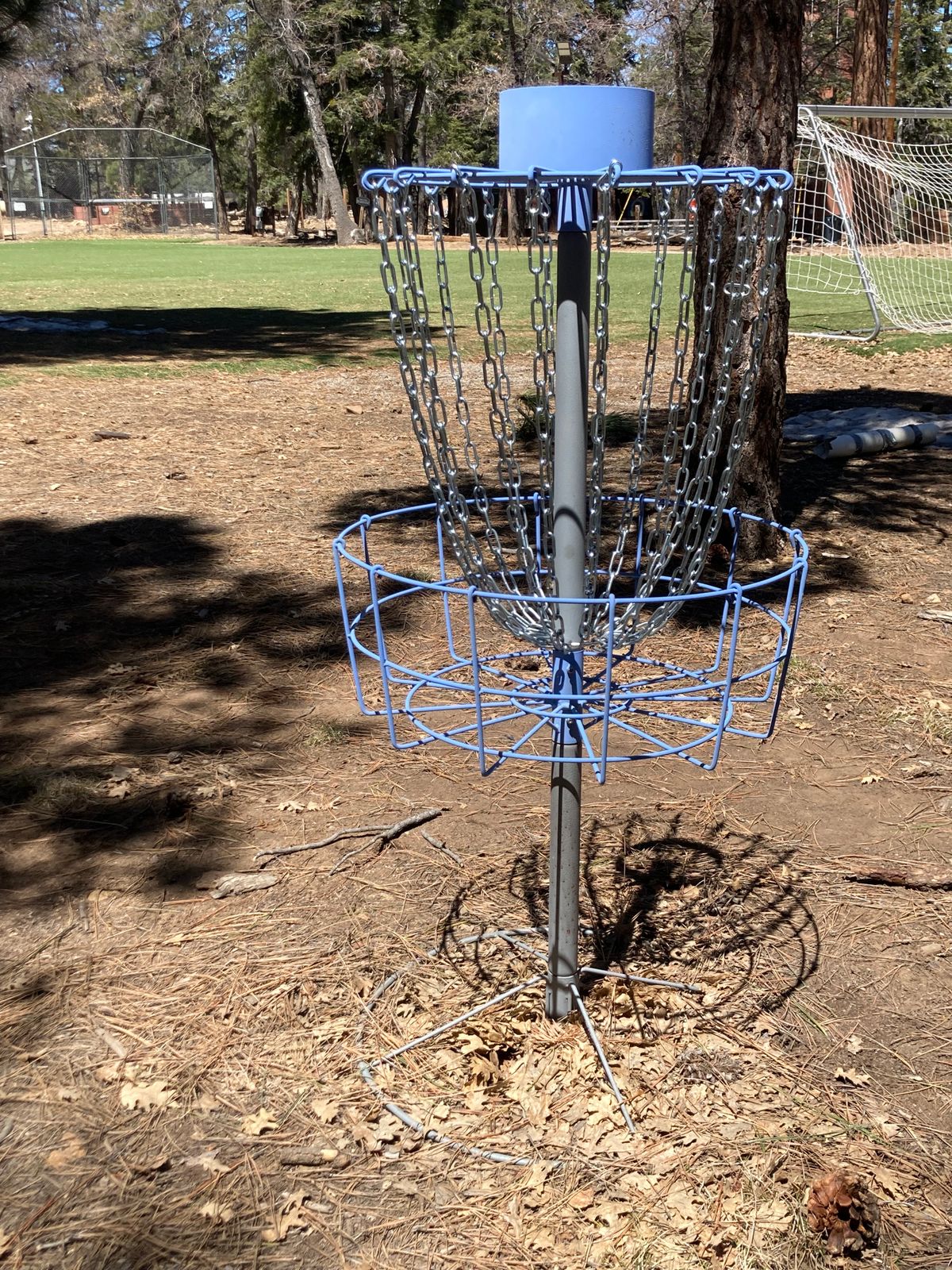 Basket of 1