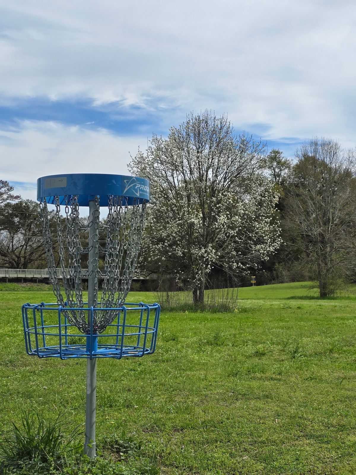 Hole 17