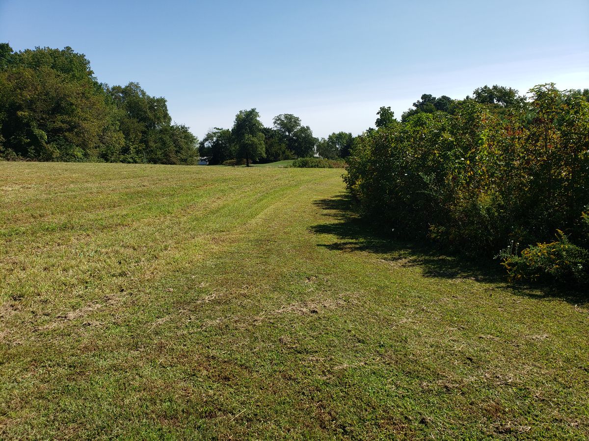 Hole 4.