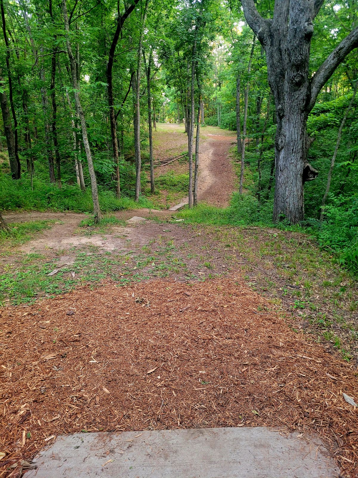 Hole 9 White/Blue Tee