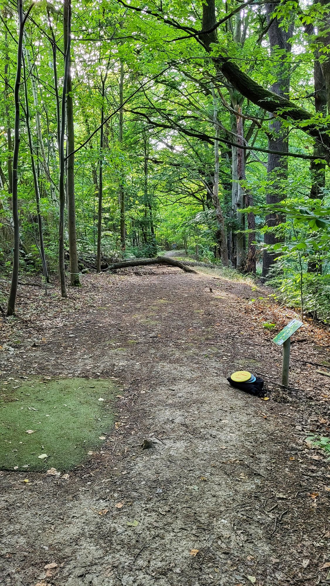 Hole 11