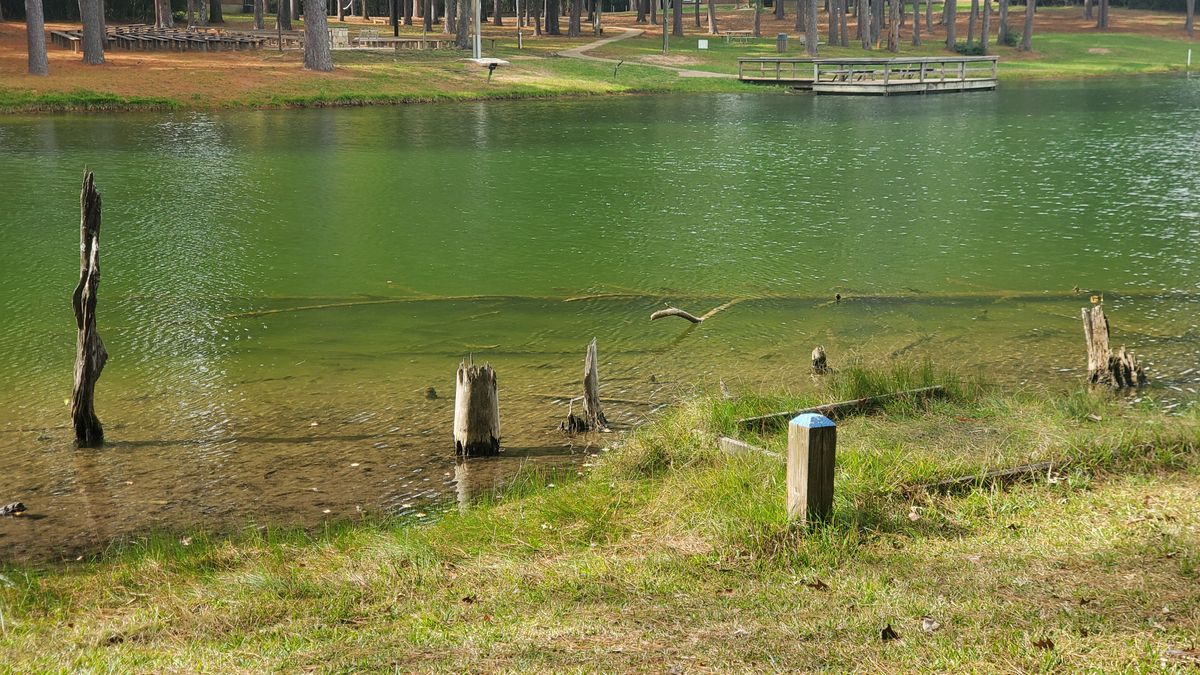 Hole 7 blue tee.