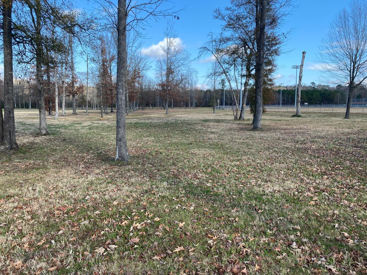 Hole 11 long fairway