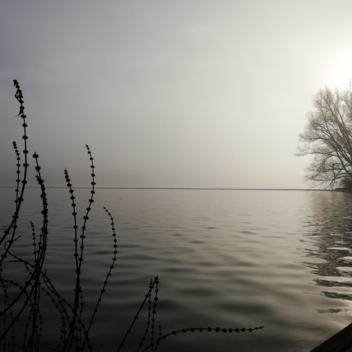Misty view on the lake (hole 18)