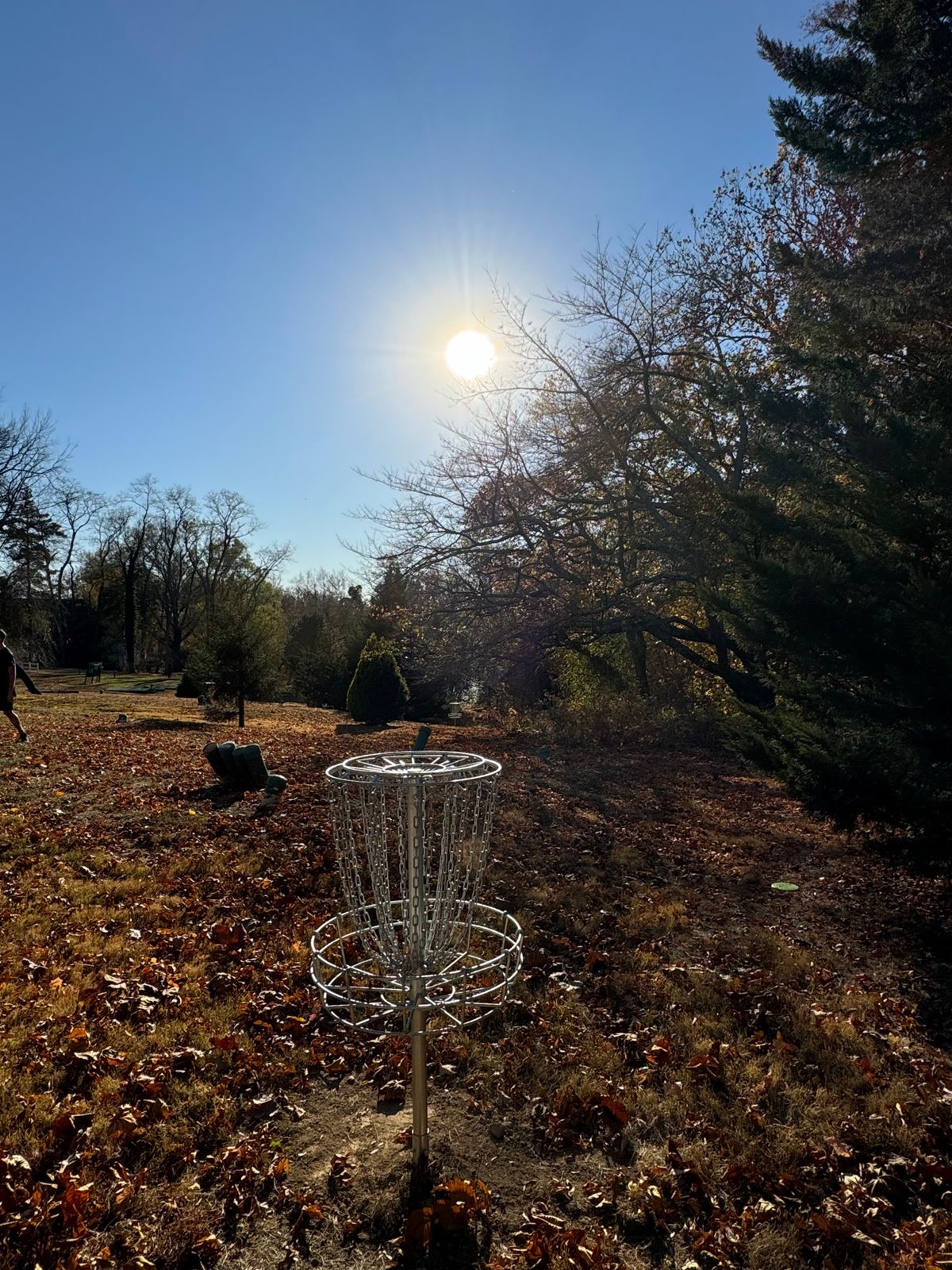 Hole 6 basket