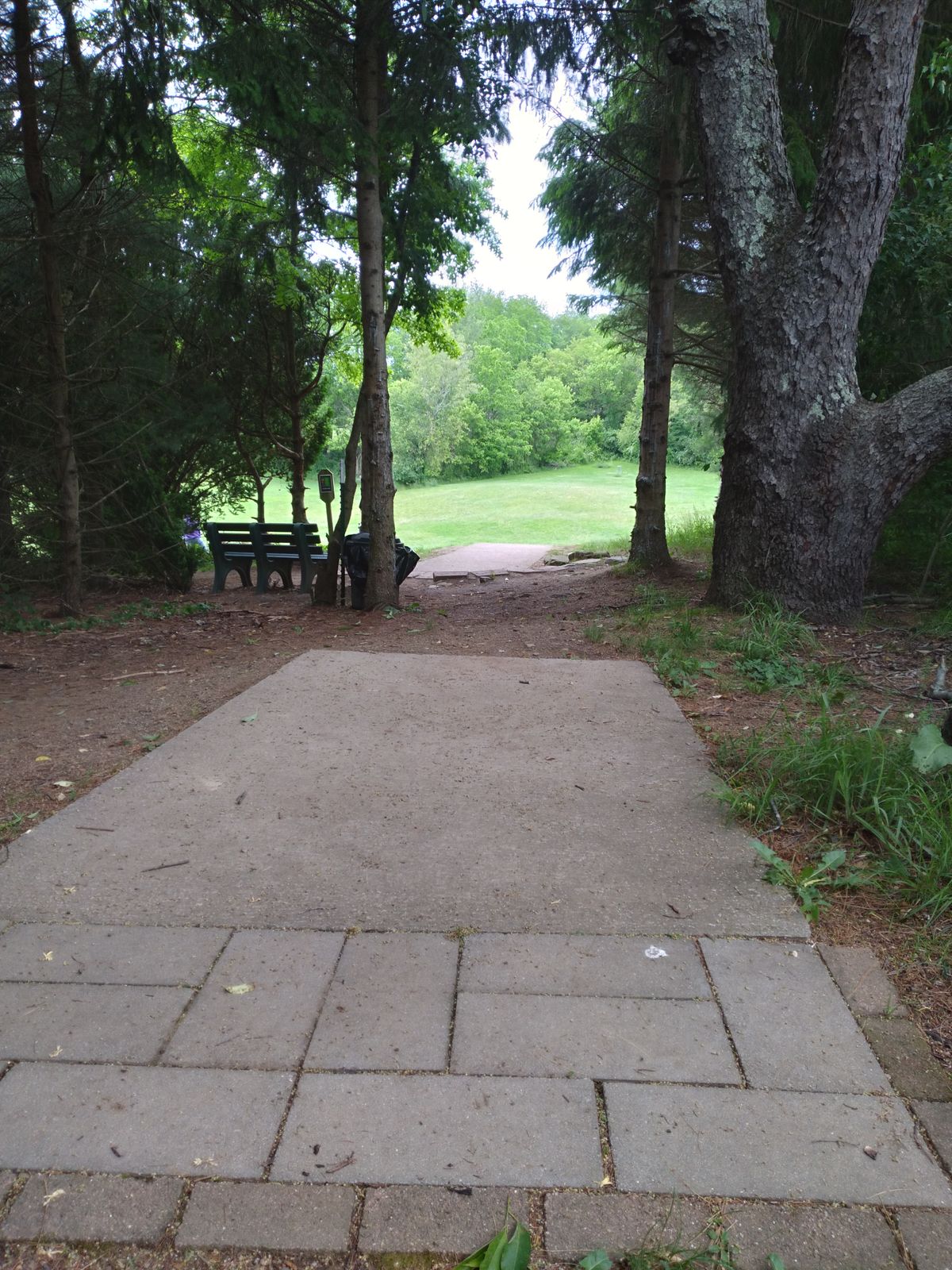 #14 Long Tee