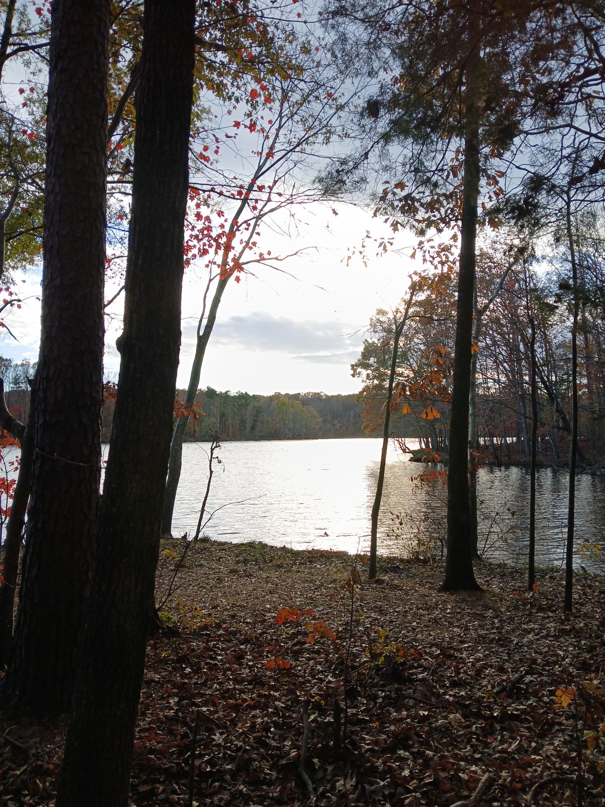 Lake near hole 9