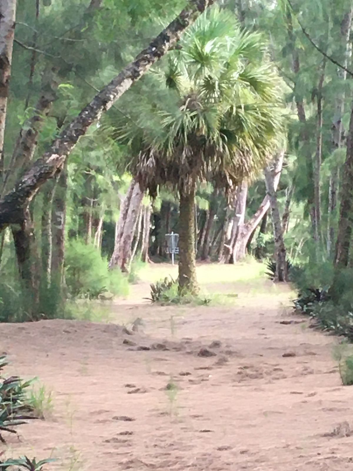 Hole 7