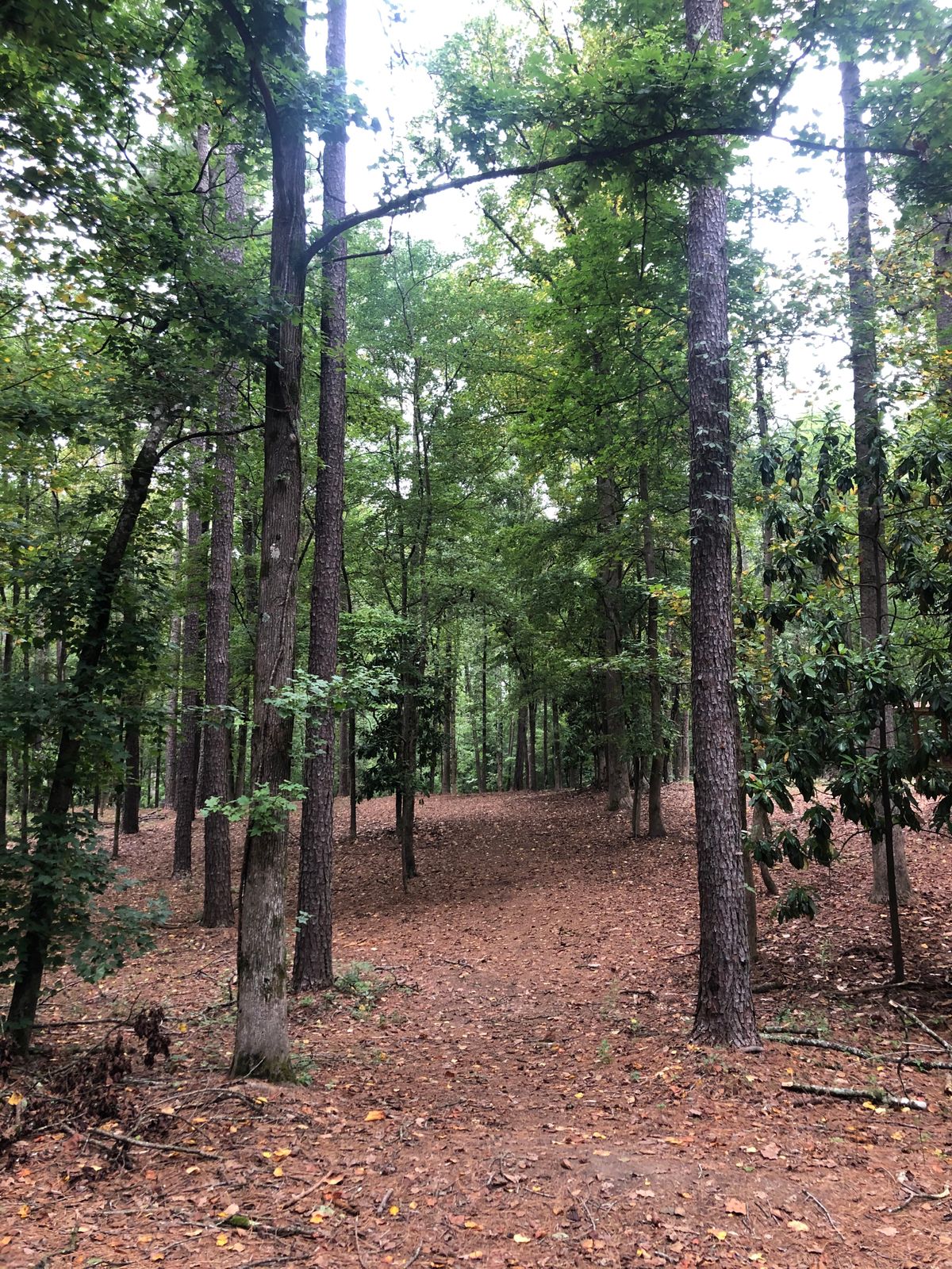 Hole 6