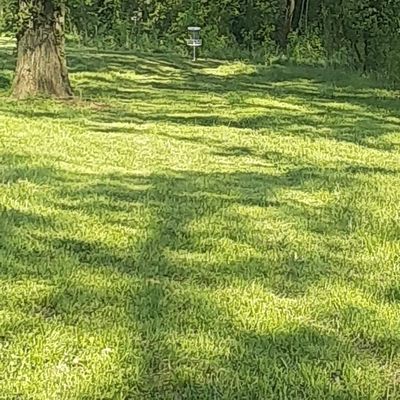 Hole 5