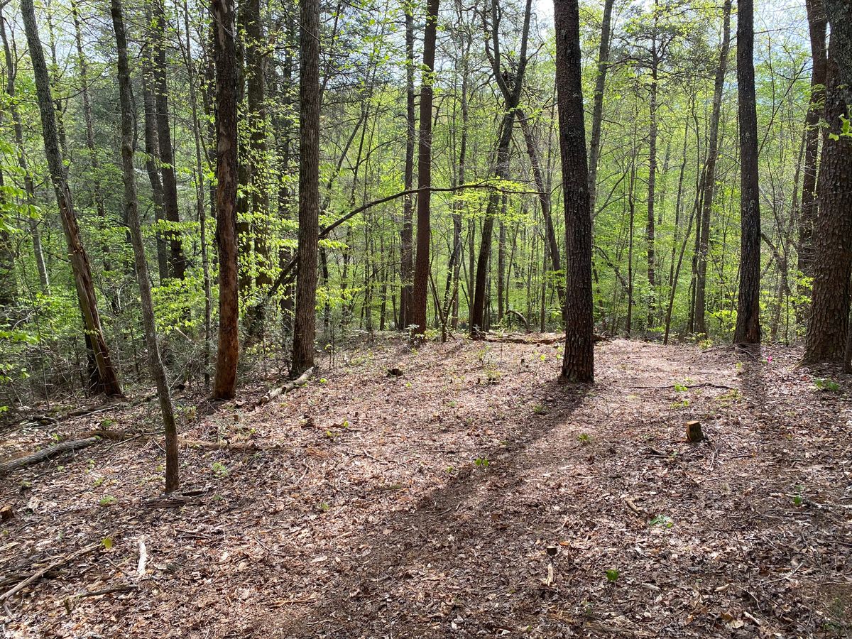 Hole 9. From top of fairway down to basket.
