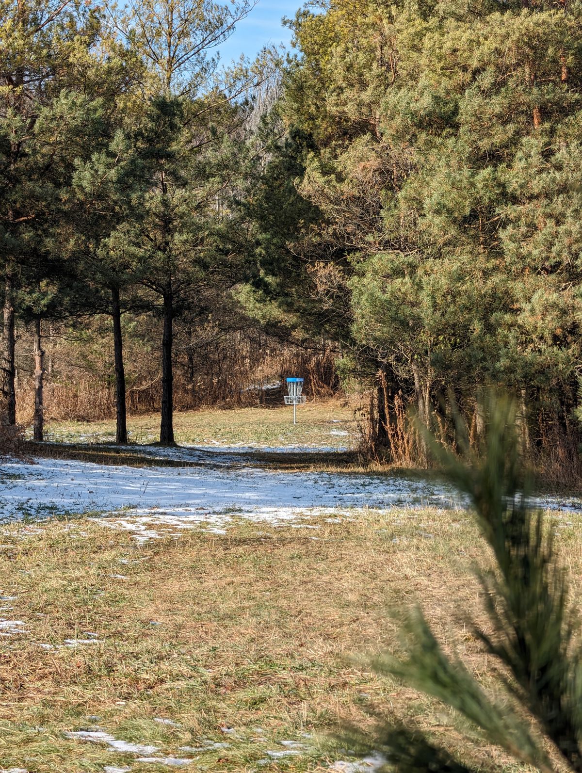 I spy a basket on hole 9