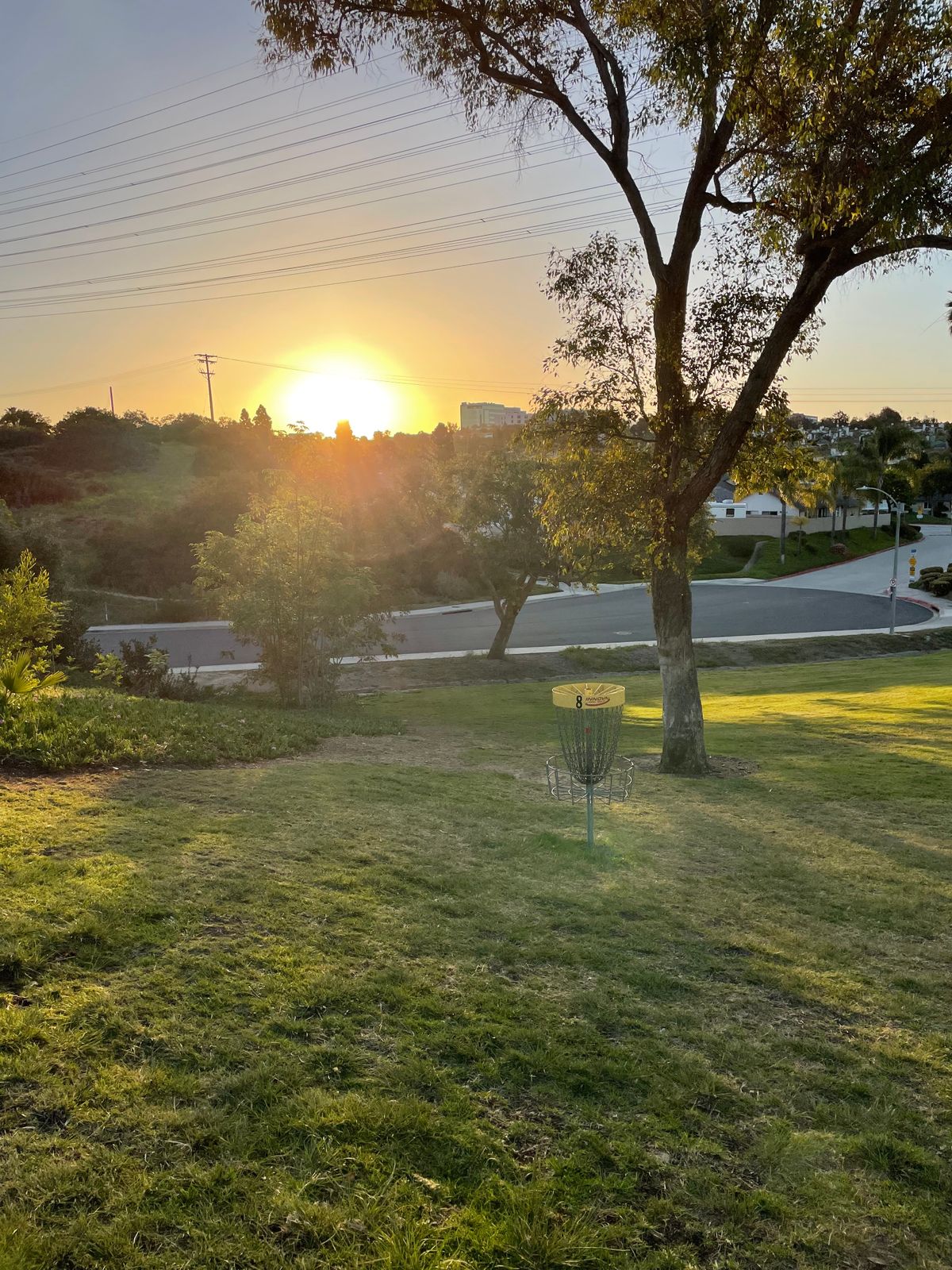 Hole 8 basket at sunrise.