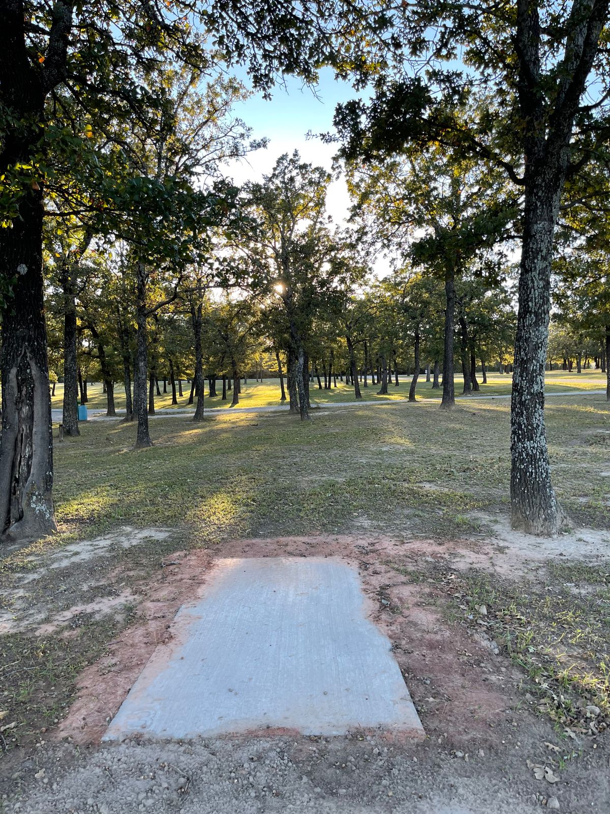 Hole 3: tough gap hit with an elevated basket on top of a stump.