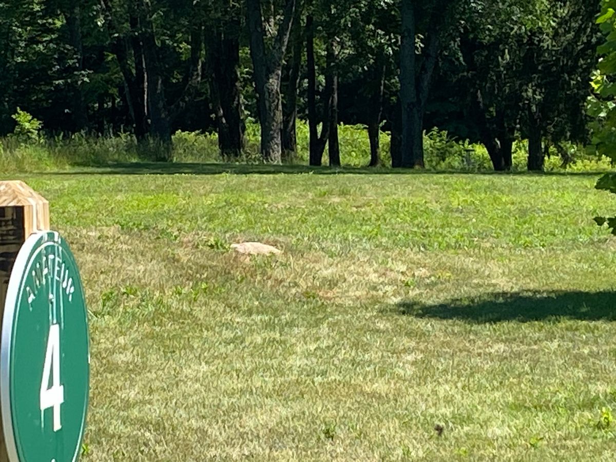 4 basket is just past the trees