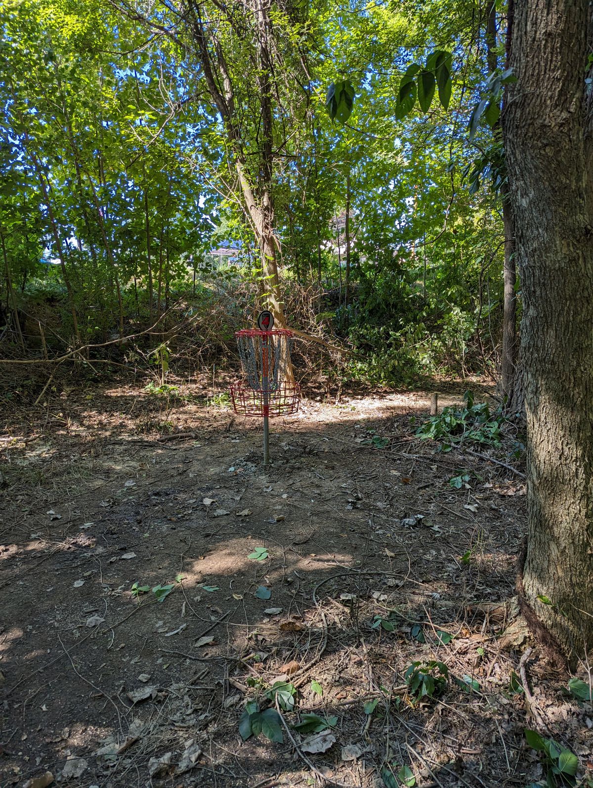 Hole 4 Basket