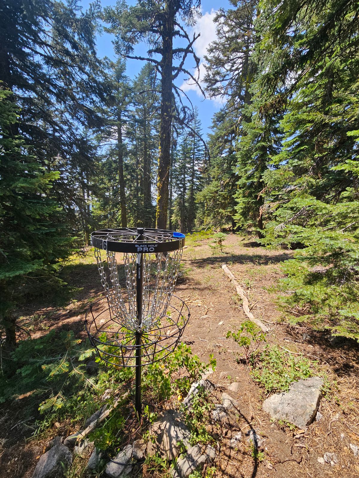 View from Basket 6 back to Tee 6