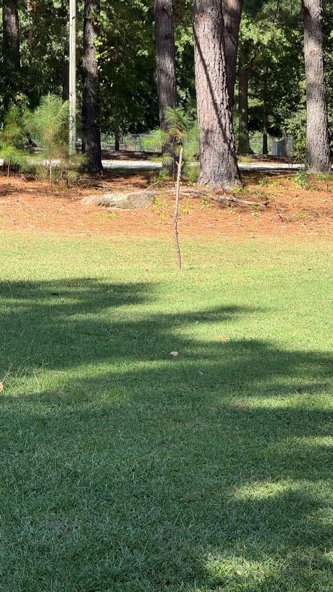 Hole 18’s basket is completely missing at this time.