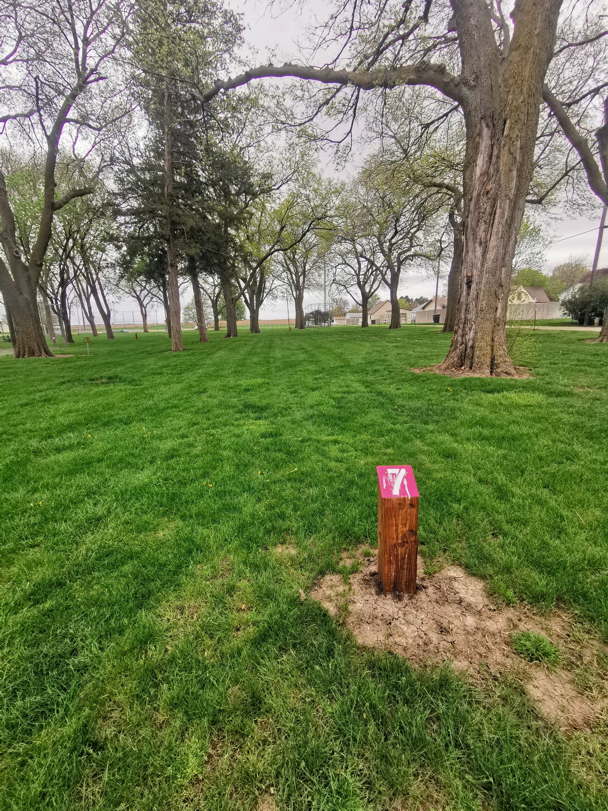 Tee 7