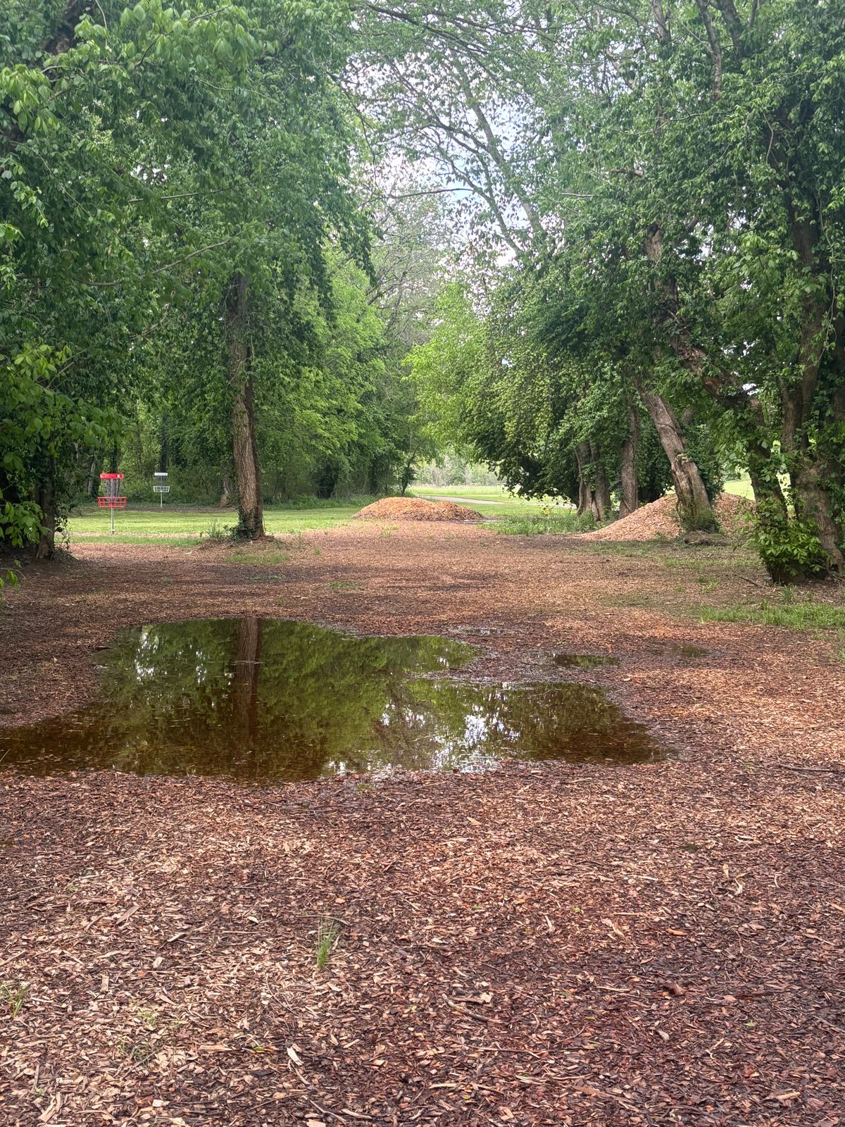 Flood control on hole 5. Plenty of mulch to go around