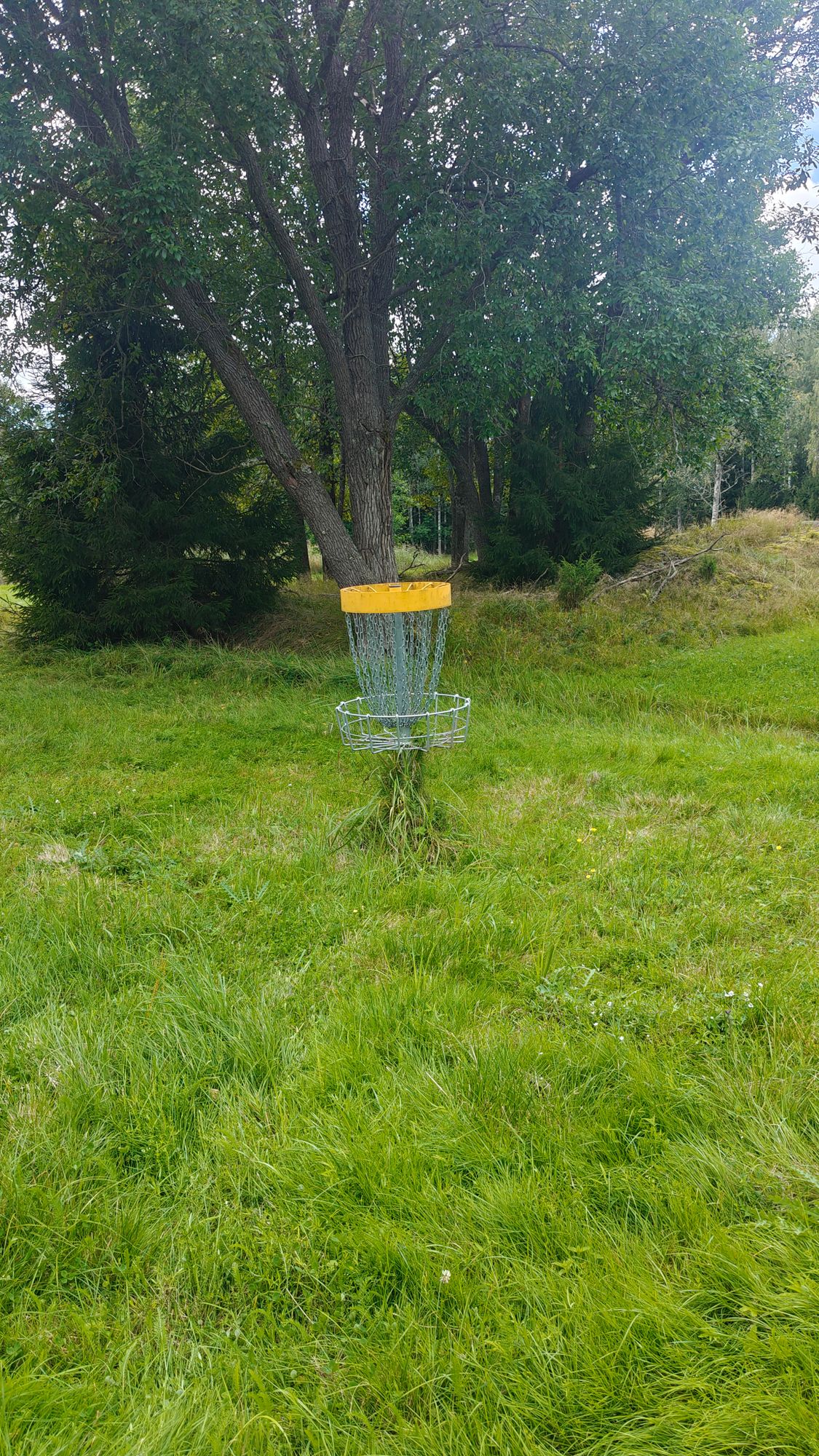 Hole 1