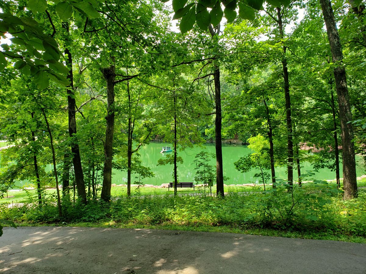 View of lake on way to #8