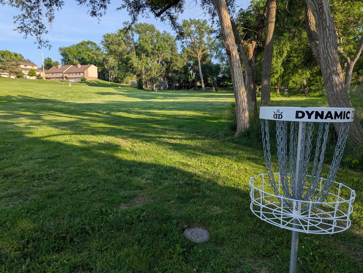 Hole 5 basket